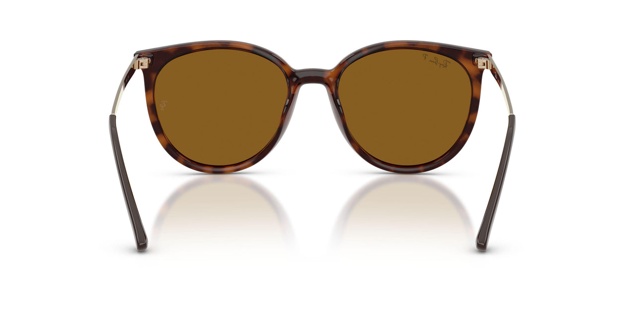 710/83 - Brown - Dark Brown Polarized