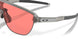 924811 - Grey - Prizm Peach