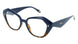 C92 - Navy Tortoise