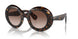 100913 - Tortoise - Mink Gradient