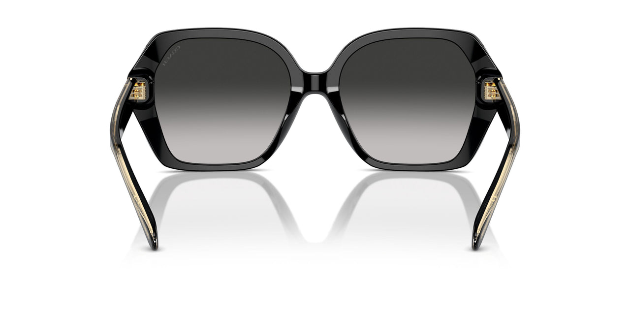 50023C - Black - Grey Gradient