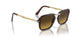 24/85 - Tortoise - Gradient Brown