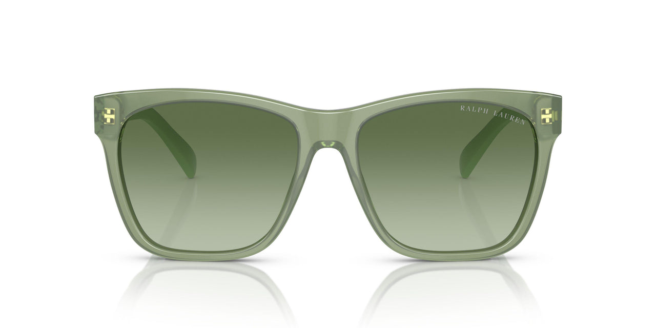 60498E - Green - Gradient Green