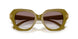 201013 - Green - Light Brown Gradient Brown