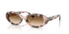 144951 - Pink - Clear Gradient Brown