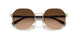 900574 - Gold - Brown Gradient