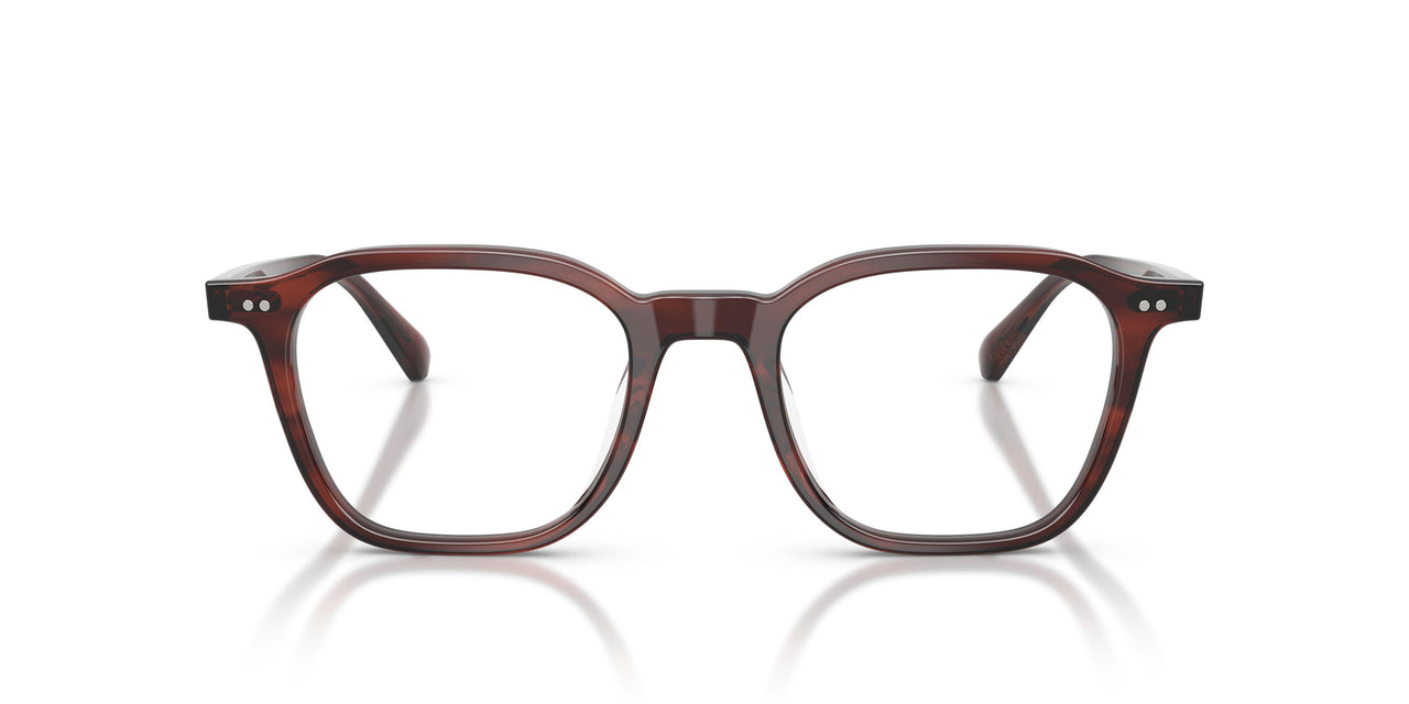 1818 - Morado Tortoise