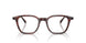 1818 - Morado Tortoise