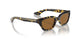 165457 - Tortoise - True Brown