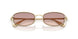 110913 - Gold - Brown Gradient