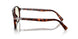 24/BL - Havana - Grey