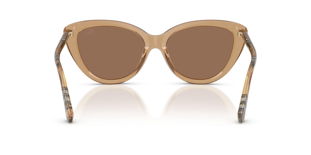 416473 - Beige - Dark Brown