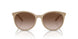 834213 - Brown - Gradient Brown