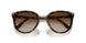 W65613 - Brown Gradient