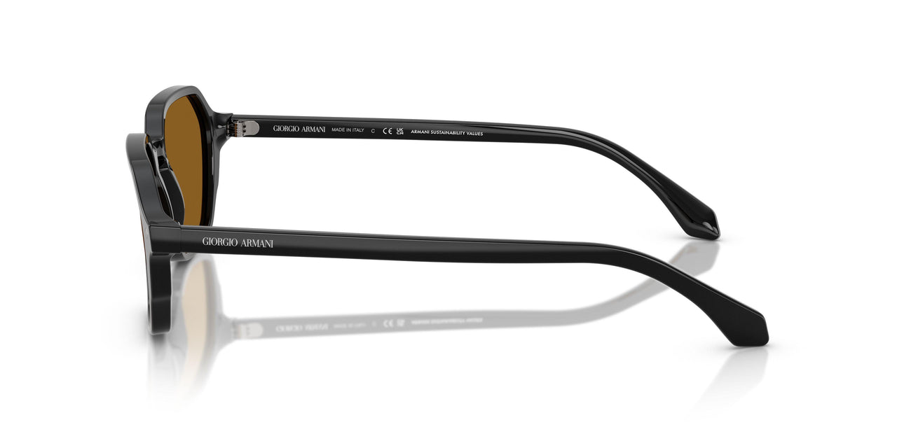 587553 - Black - Brown