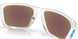 948707 - Transparent - Prizm Sapphire Polarized