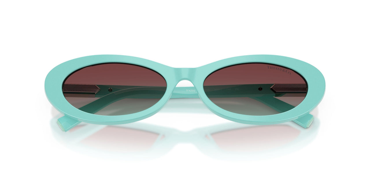 8388V5 - Blue - Azure/burgundy