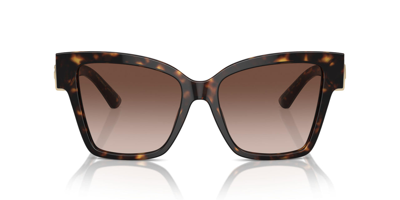 502/13 - Tortoise - Brown Gradient