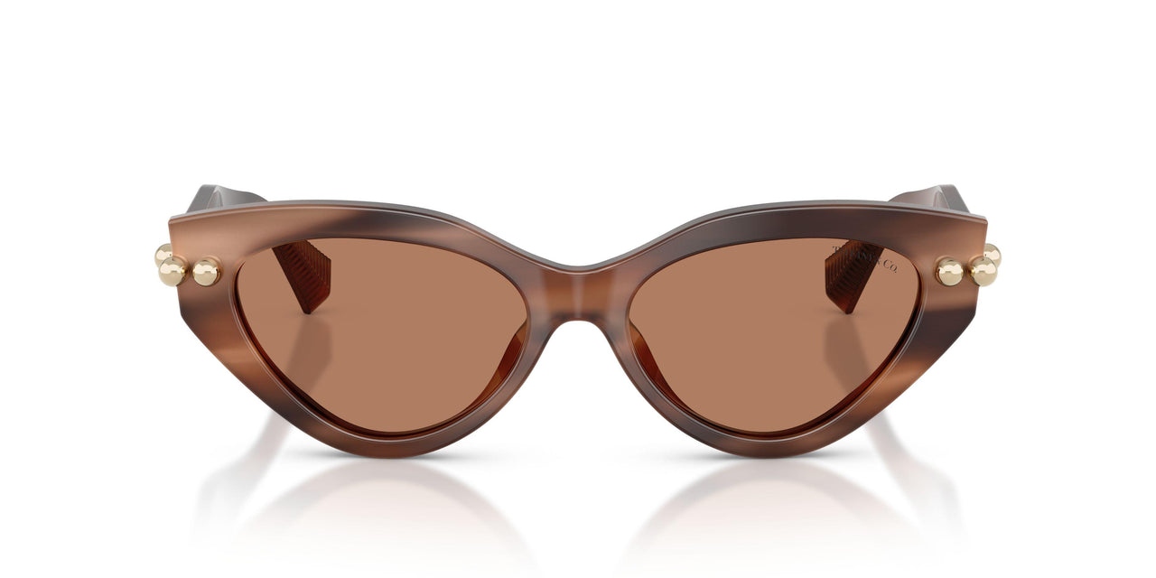 847573 - Tortoise - Solid Brown