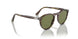 11564E - Green - Light Green