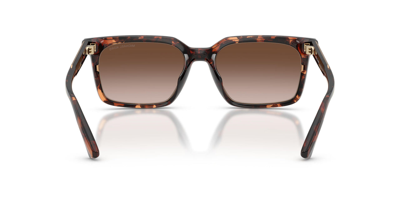 300613 - Tortoise - Smoke Gradient