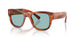 322180 - Tortoise - Blue