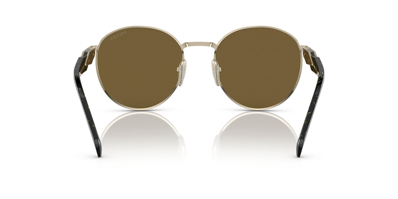 ZVN01T - Gold - Dark Brown