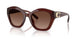 5841T5 - Brown - Brown Gradient Polar