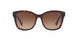 Coach L1656 8219 Sunglasses