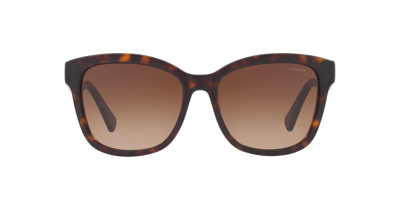 512013 - Havana - Brown Gradient
