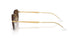 001/73 - Gold - Dark Brown