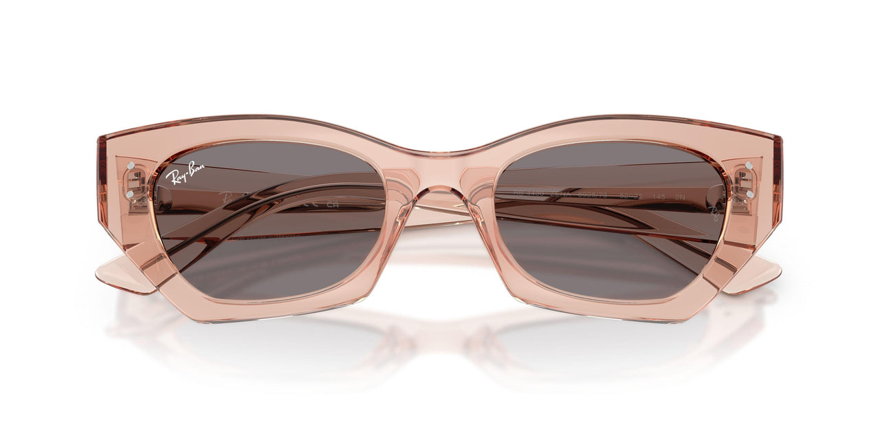 692573 - Pink - Brown