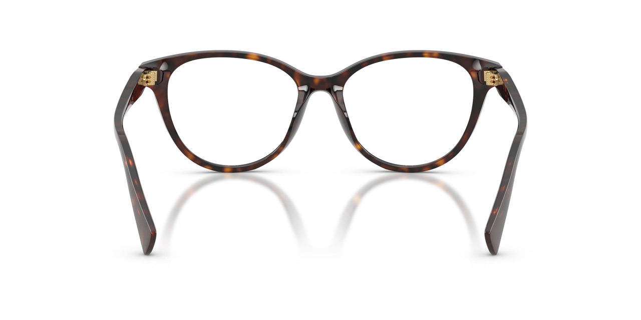 5003 - Brown