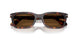 24/57 - Tortoise - Polar Brown
