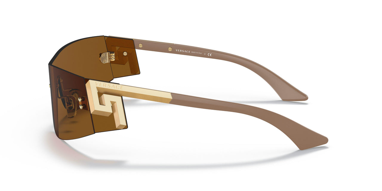100263 - Clear - Dark Bronze