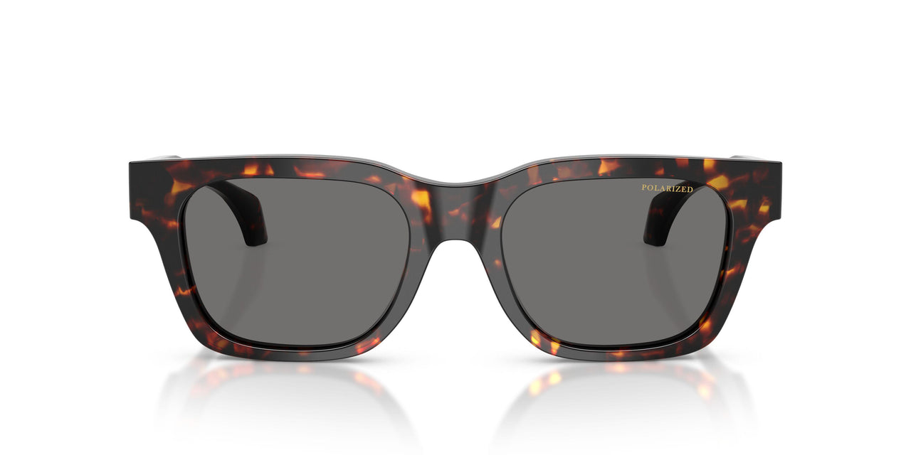 550981 - Tortoise - Dark Grey Polar
