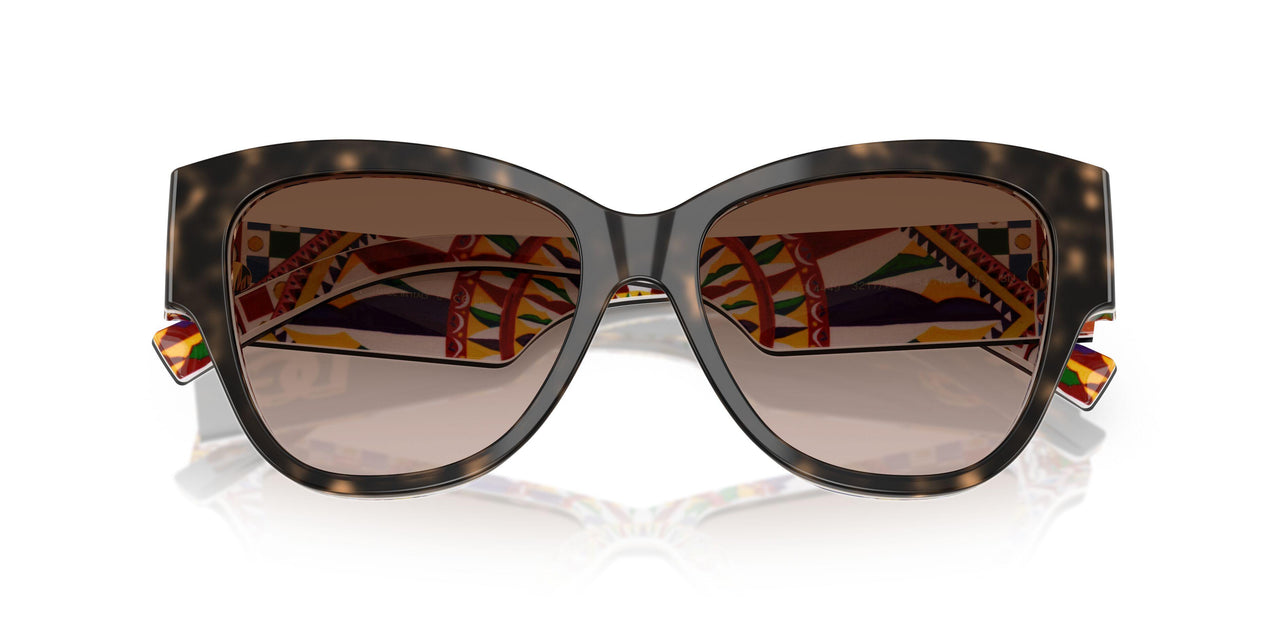 321713 - Tortoise - Brown Gradient