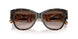 321713 - Tortoise - Brown Gradient