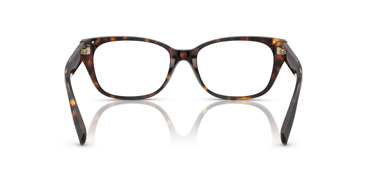 8015 - Tortoise