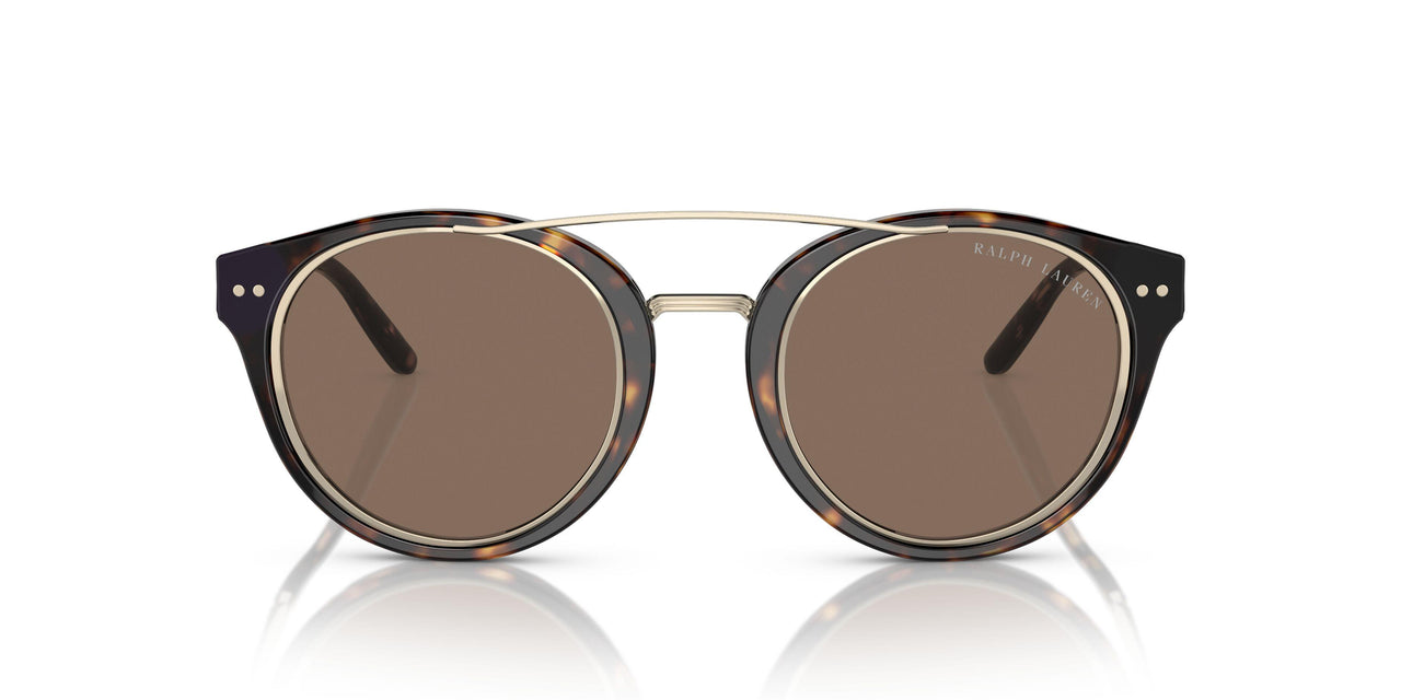 50025W - Tortoise - Brown