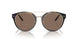 50025W - Tortoise - Brown