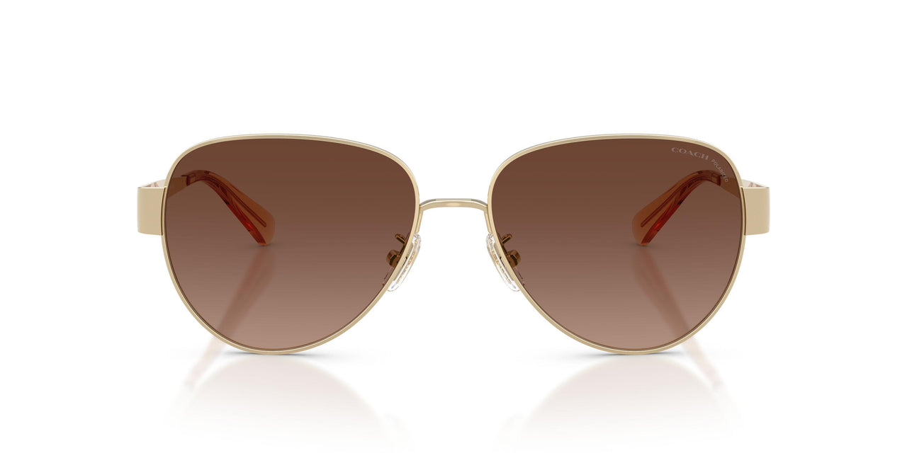 900587 - Gold - Brown Gradient Polar