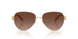 900587 - Gold - Brown Gradient Polar