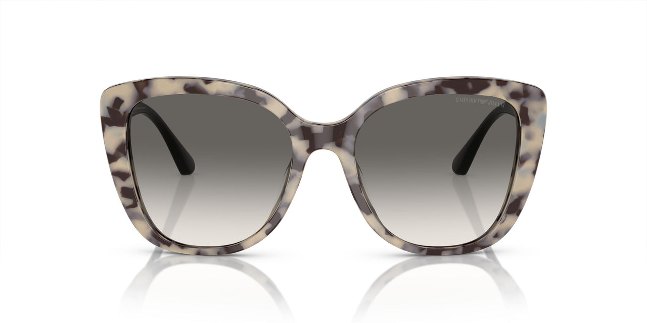 605811 - Brown - Gradient Grey