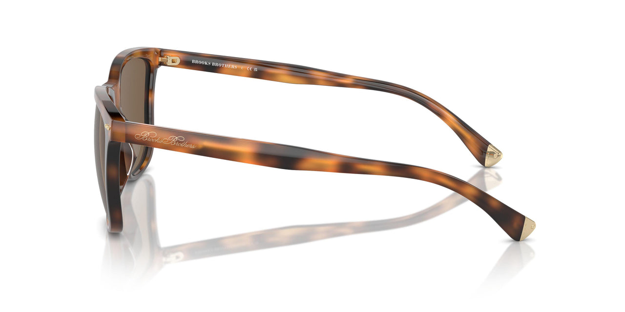 606473 - Tortoise - Dark Brown
