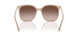 315113 - Brown - Brown Gradient