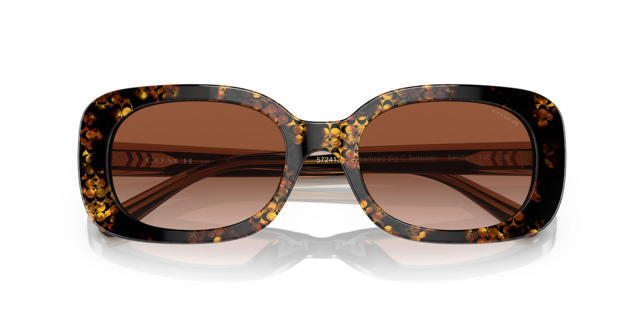 572413 - Multi - Brown Gradient