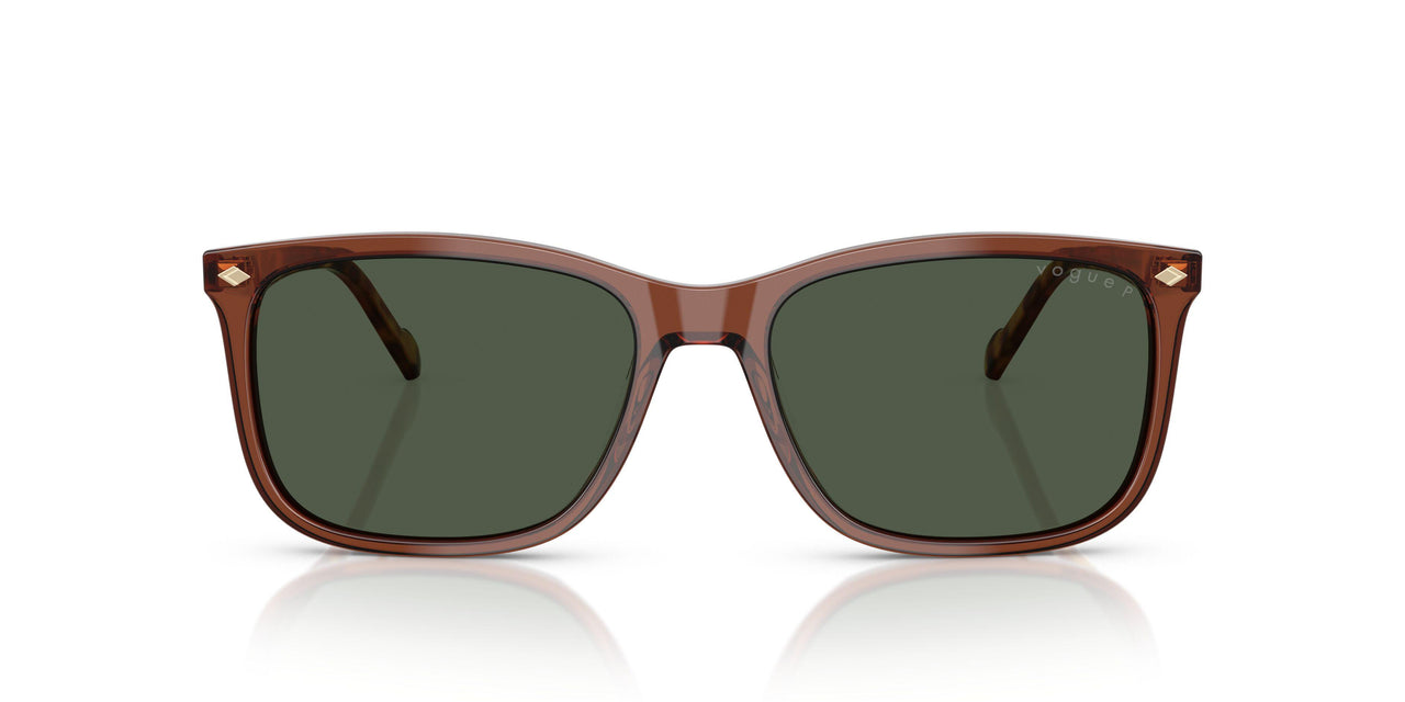 32029A - Brown - Dark Green Polar