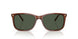 32029A - Brown - Dark Green Polar