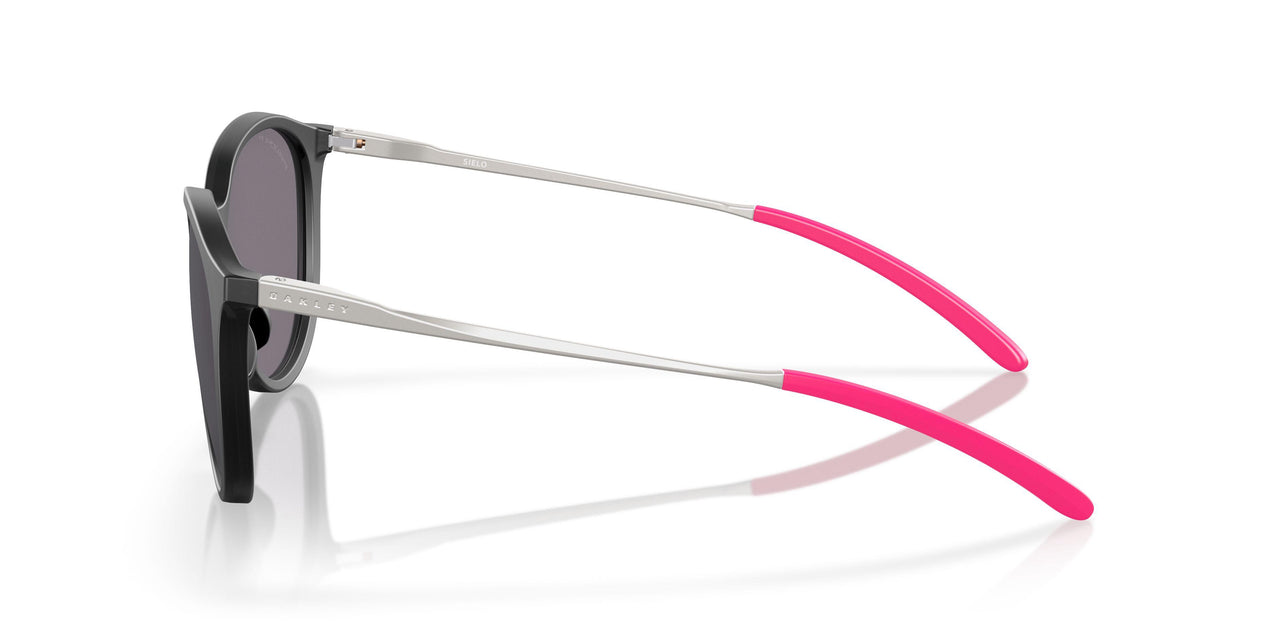 928801 - Black - Prizm Grey Polarized